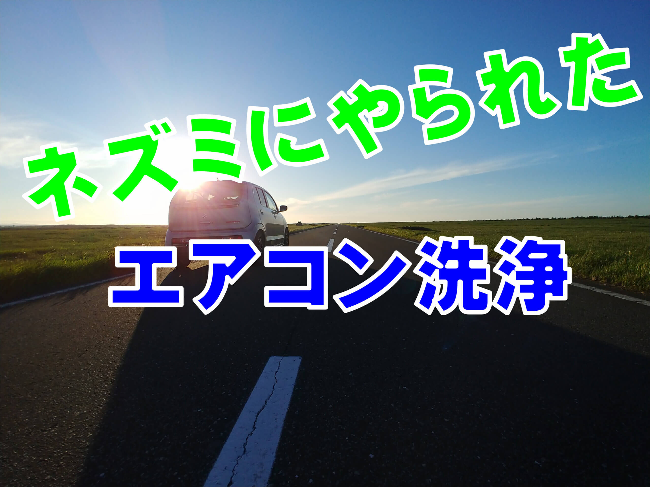 自分で簡単カーエアコン掃除 ネズミにやられた臭いスッキリ